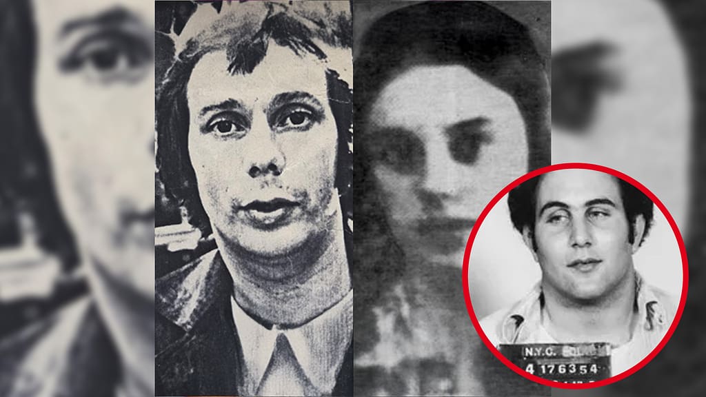 chelsea murder platzman son of sam