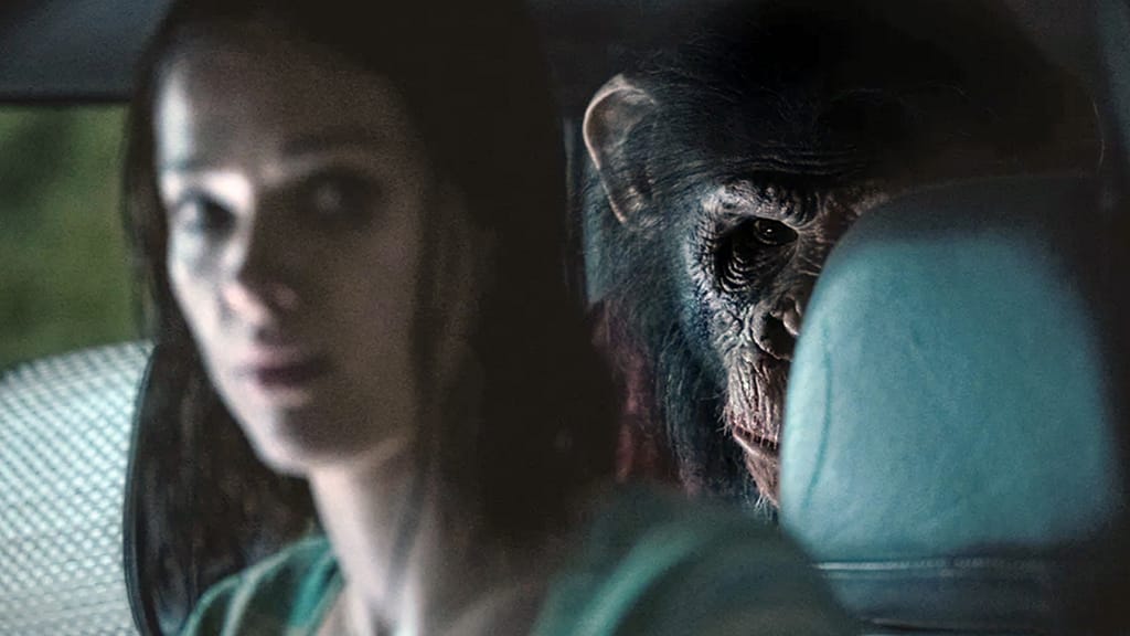 7 Brutal Reasons You Should Watch Primate: It's Not Just Another Creature Feature 6 primate 2025 intense