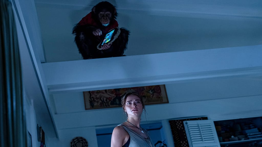 7 Brutal Reasons You Should Watch Primate: It's Not Just Another Creature Feature 5 primate 2025 kills