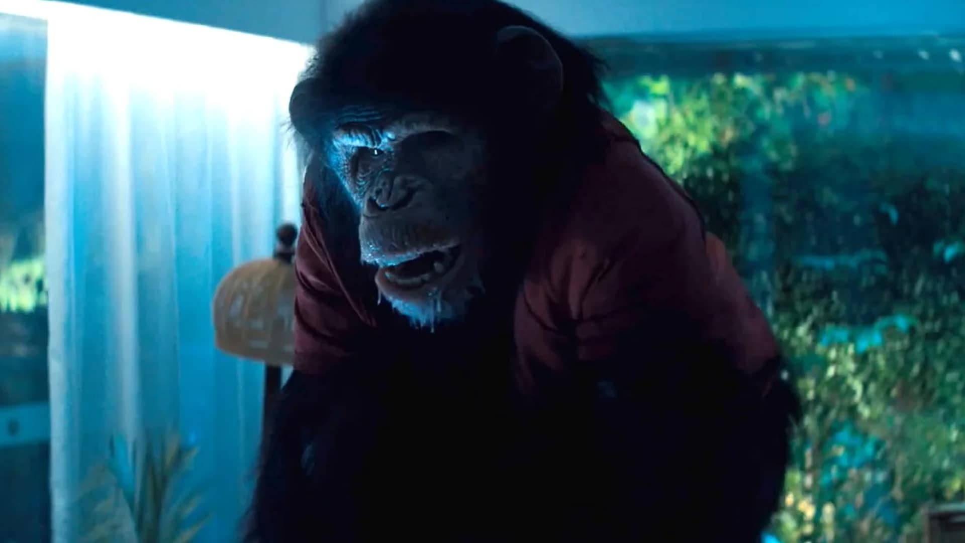 7 Brutal Reasons You Should Watch Primate: It's Not Just Another Creature Feature 4 primate 2025 effects
